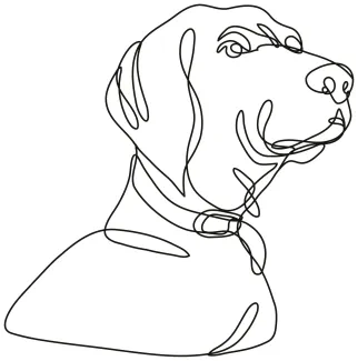 Labrador Retriever Looking Up "One Line Labrador Looking Up Drawing: Capturing Curiosity and Loyalty with Minimalist Art"