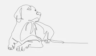 Relaxed Retriever in One Line: Calm Pet Drawing for Learning