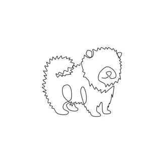 One Line Pomeranian: Fluffy Pet Drawing for Kids