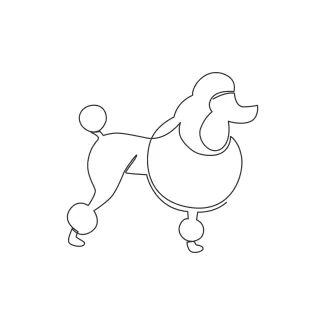 "One Line Poodle Puppy Drawing: Capturing Elegance and Playfulness with Minimalist Art"