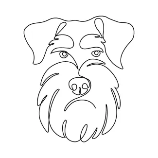 Schnauzer dog breed One-Line Schnauzer Drawing: Capture Facial Features in Simple Dog Art