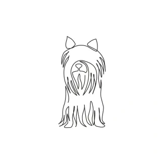 Yorkshire Terrier "One Line Yorkshire Terrier Illustration: Capturing Elegance and Personality with Minimalist Techniques"