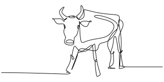 Bull Learn to Draw a Bull with One Line: Simple Art for Animal Lovers