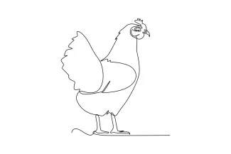 Chicken Draw a Chicken in One Line: Simple Bird Drawing for Beginners