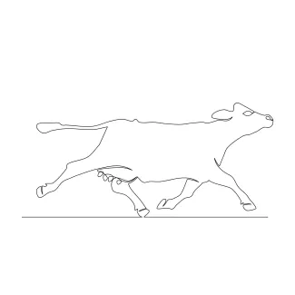 Cow Simple Cow One-Line Drawing: A Great Way to Practice Steady Line Work