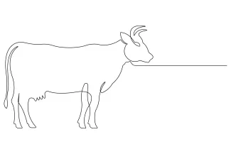 Cow Cow Drawing in One Line: Build Sketching Skills with a Familiar Farm Animal