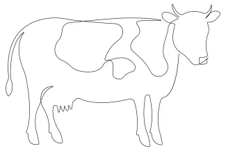 Cow Farm Cow Drawing in One Line: Simple Art Practice for Animal Recognition Skills