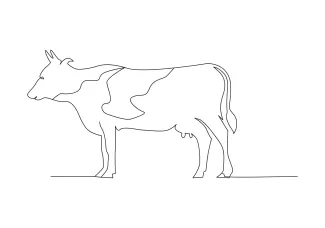 Cow Easy Cow Sketch in One Line: Perfect for Daily Drawing and Farm Animal Practice
