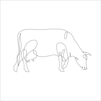 One-Line Cow Drawing: Practice Animal Shapes with a Clear and Simple Method