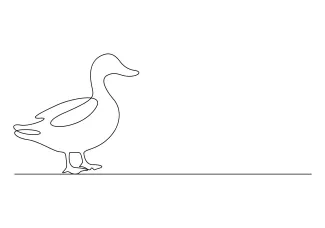 Duck One-Line Duck Drawing Tutorial: Great for Bird Practice and Hand Coordination