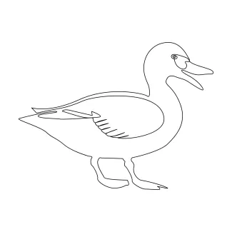 Duck One-Line Duck Drawing for Beginners: Gentle Bird Art You Can Draw Anytime
