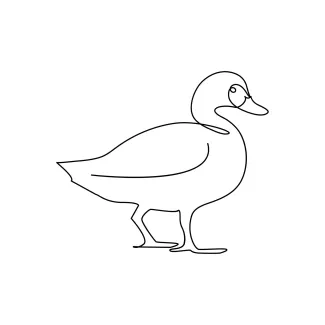 Duck Draw a Duck in One Line: Quick Water Bird Art Practice for All Levels