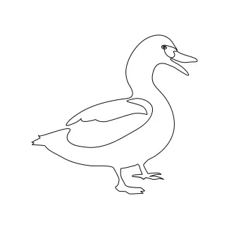 Duck One-Line Duck Drawing: Simple Water Bird Sketching for Beginners