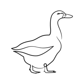 Duck One-Line Duck Drawing: Practice Bird Art with Clear and Simple Steps