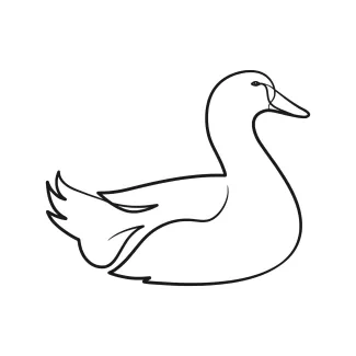 Duck Easy Duck Drawing with One Line: Great for Practicing Animal Shapes and Forms