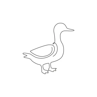 Duck Simple One-Line Duck Drawing: Learn to Sketch Water Birds with Minimal Tools