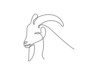 Goat Quick One-Line Goat Drawing: Great for Understanding Animal Proportions