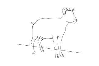 Goat Draw a Goat in One Continuous Line: Practice Animal Form with Confidence