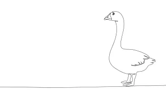 Goose Simple Goose Drawing in One Line: Easy Practice for Long-Necked Bird Shapes