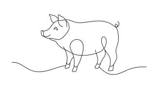One-Line Pig Drawing for Simple Farm Animal Sketching