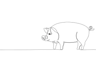 Pig Easy Pig Drawing in One Line: Great for Learning Farm Animal Forms