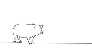 Pig One-Line Pig Drawing for Simple and Fun Art Practice