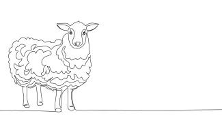 Sheep One-Line Sheep Drawing: Learn to Sketch Woolly Animals with Simplicity