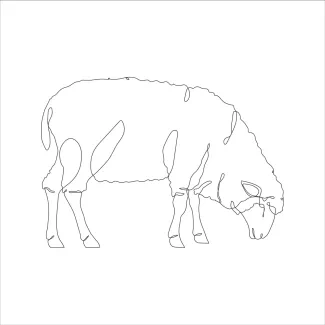 Sheep Simple Sheep Drawing in One Line: Practice Farm Animal Shapes with Clarity