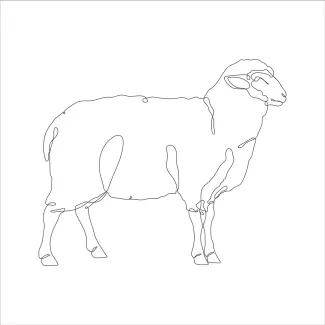 Sheep Simple One-Line Sheep Drawing: Practice Animal Outlines with Minimal Art Tools