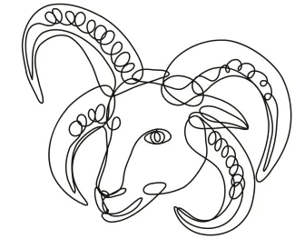 Sheep Draw a Sheep with One Line: Easy Animal Art for Beginners
