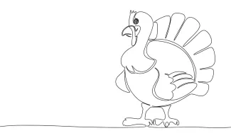 Turkey Simple One-Line Turkey Drawing: Explore Bird Shapes with Basic Sketching Tools