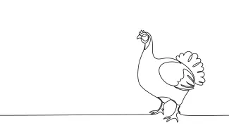 Turkey One-Line Turkey Drawing: Practice Drawing Farm Birds with Simple Lines