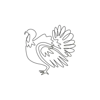 Turkey One-Line Turkey Drawing Project: Build Drawing Skills Through Minimal Bird Art