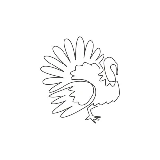 Turkey Beginner Turkey Drawing in One Line: Learn to Simplify Animal Forms