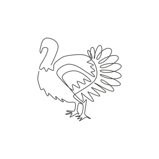 Turkey One-Line Turkey Drawing for Beginners: Explore Bird Shapes with Simple Drawing Steps
