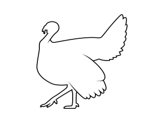 One-Line Turkey Drawing: Explore Bird Shapes with Simple Continuous Line Art