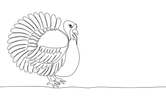 Turkey Easy Turkey Drawing in One Line: Fun Art Practice for Animal Enthusiasts