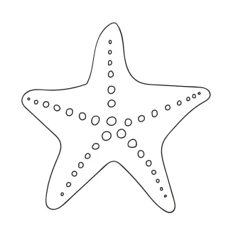 Sea star easy drawing Simple star-shaped sea animal drawn in one line