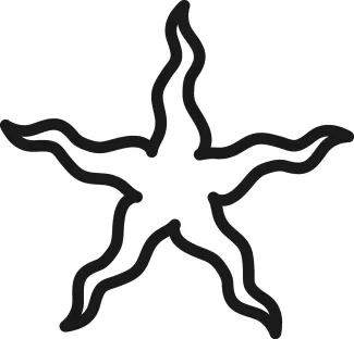 Sea star line sketch Sea star with five arms drawn using one line