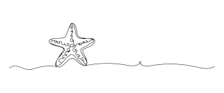 Sea star simple art Simple line sea star sketch from ocean nature