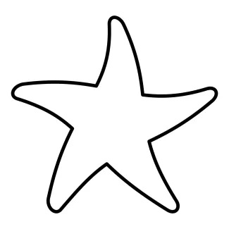 Starfish sketch in nature style One line starfish illustration for natural form studies
