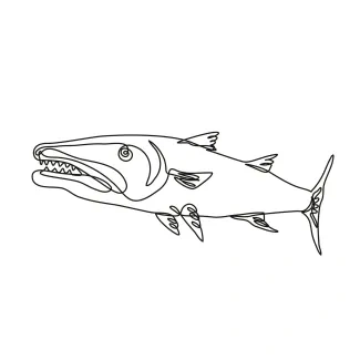 One-Line Barracuda Drawing: Explore Sharp Features in a Predatory Ocean Fish