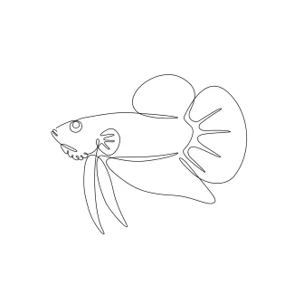 One-Line Betta Fish Drawing: Explore Big Fin Designs with a Small Elegant Fish