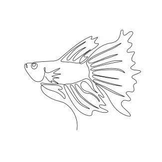 Betta Fish One-Line Drawing: Learn Fin Detail and Curved Motion with a Fighting Fish