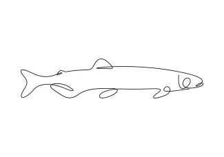 One-Line Capelin Fish Drawing: Practice Small Ocean Shapes in One Motion