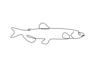 Capelin Fish One-Line Drawing: Strengthen Precision with a Slim Body Shape