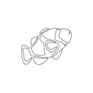 Beautiful Clownfish in One Line: Learn Clear Lines and Simple Animal Forms