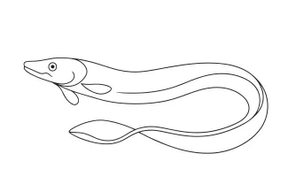 Simple Eel One-Line Drawing: Practice Long, Curved Shapes with Control