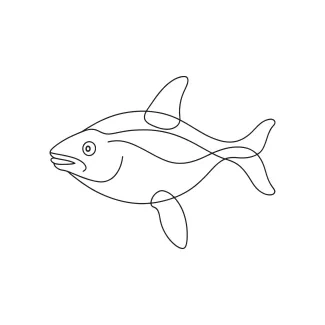 One-Line Sunfish Drawing: Explore Rounder Sea Shapes in a Simple Line