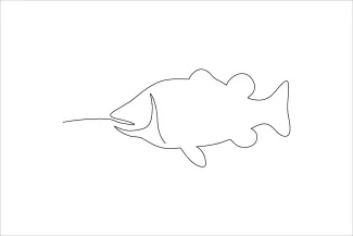 Basic One-Line Fish Drawing: Strengthen Your Planning with Smooth Movement